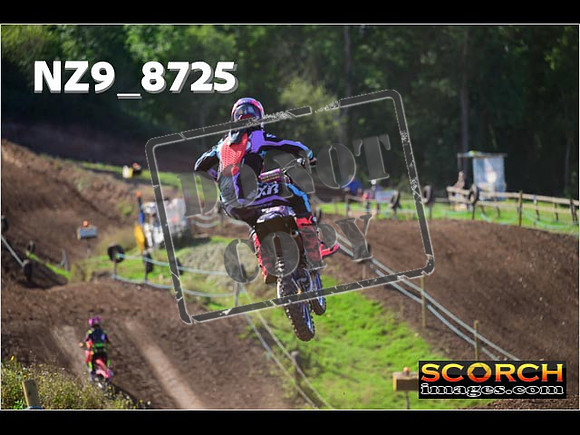 Experts-227