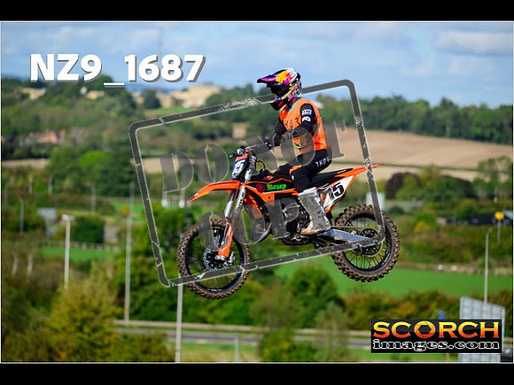 Experts-119
