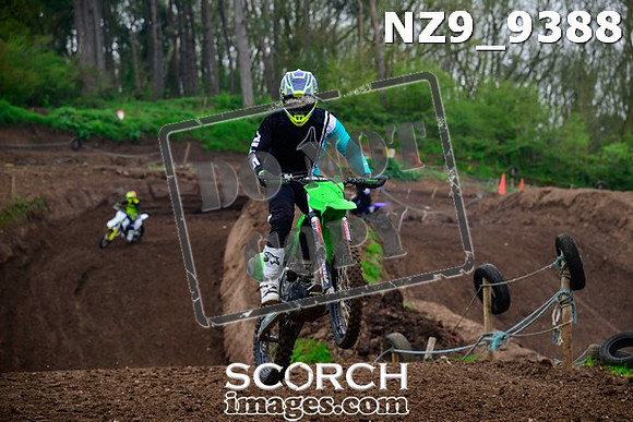 NZ9_9388