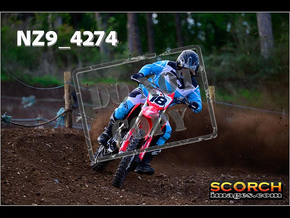 Experts-136