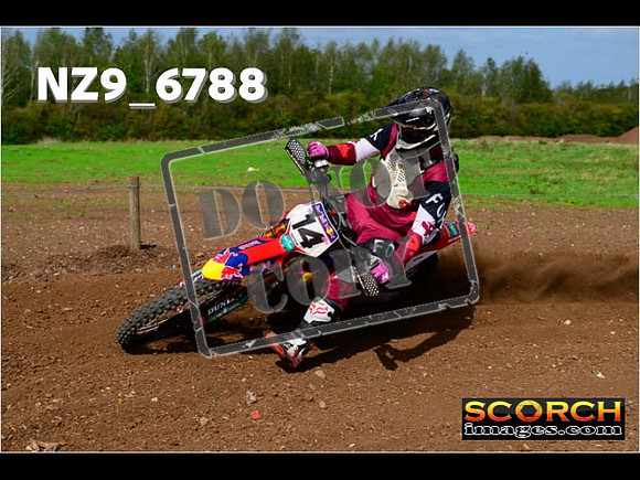 Experts-285