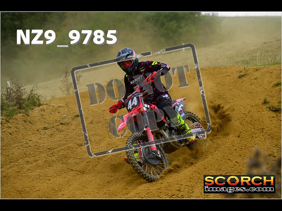 Experts-207
