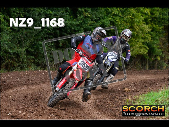 Experts-049