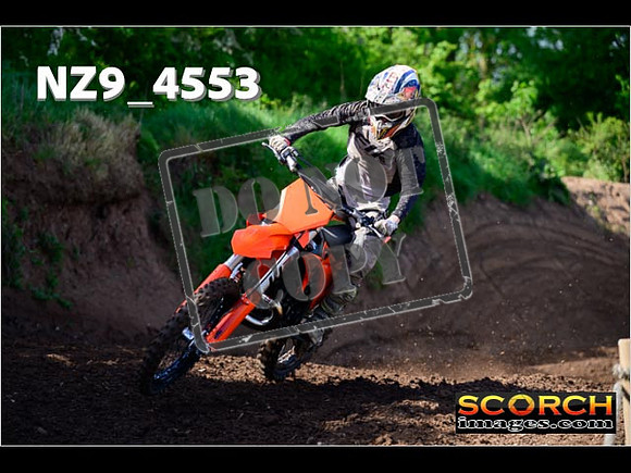 Experts-060