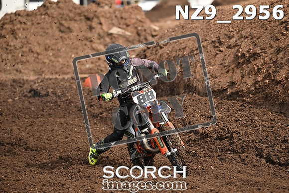 NZ9_2956