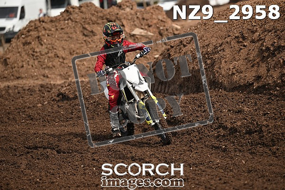 NZ9_2958