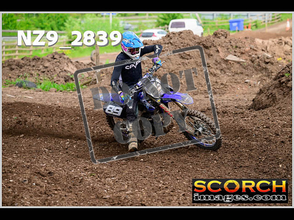 Apex Sun 28-May Experts-227