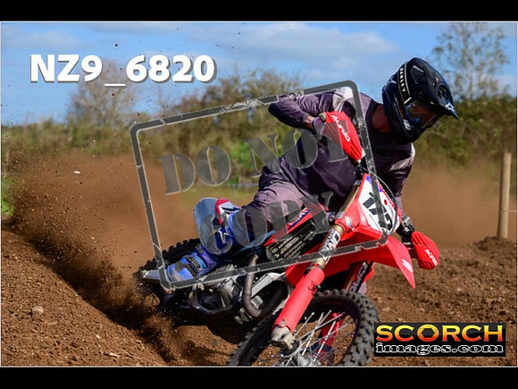Experts-315