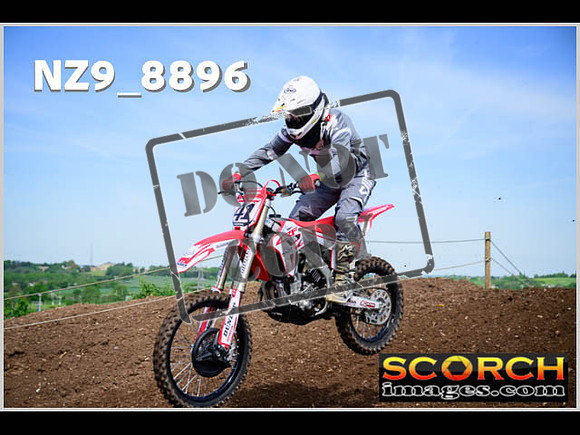 Intermediate Green-024