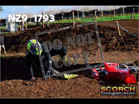 Experts-219