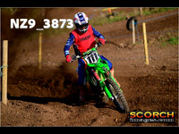 Experts-019