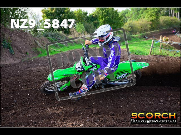 Experts-076