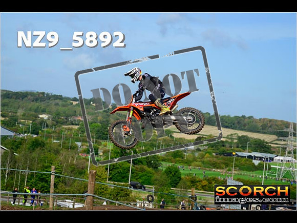 Experts-119