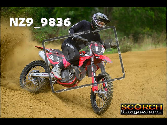 Experts-255