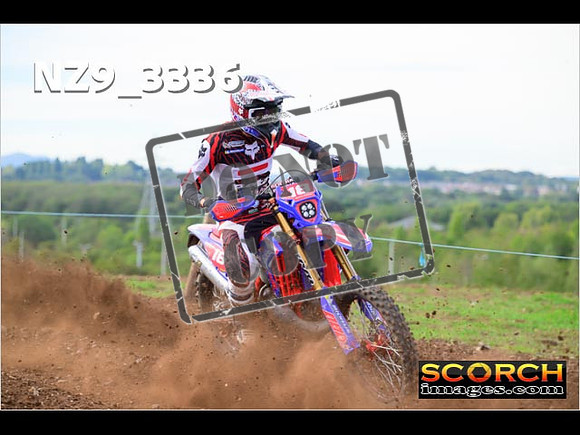 Experts-299
