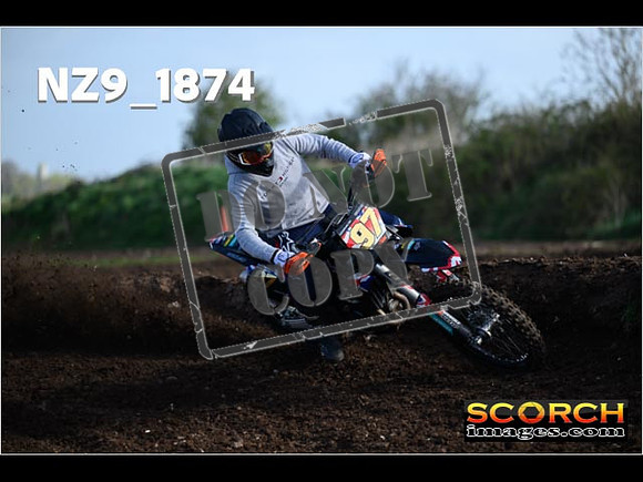 Experts-019