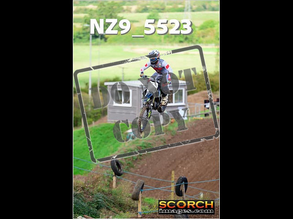 Experts-079