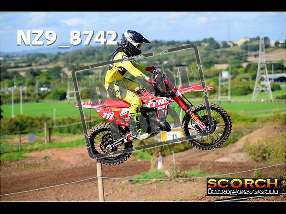 Experts-244