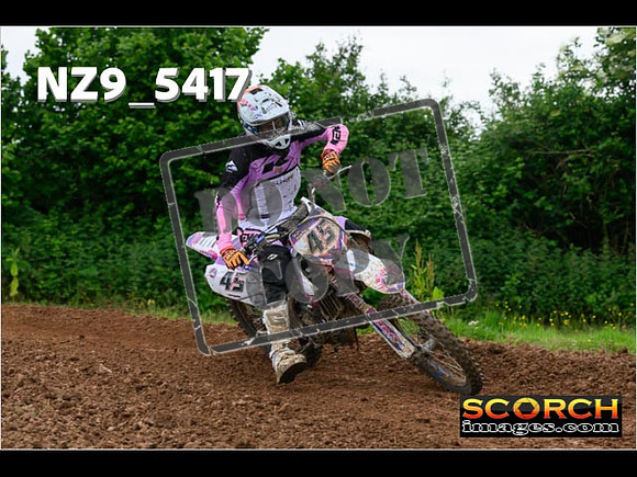 Experts-349