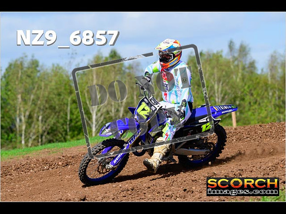 Experts-351