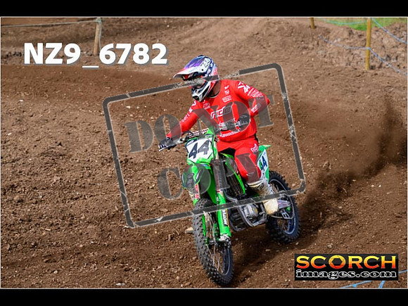 Experts-279