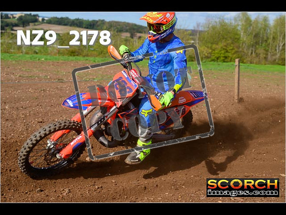 Experts-307
