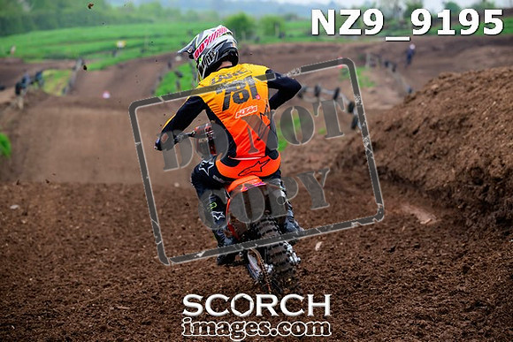 NZ9_9195