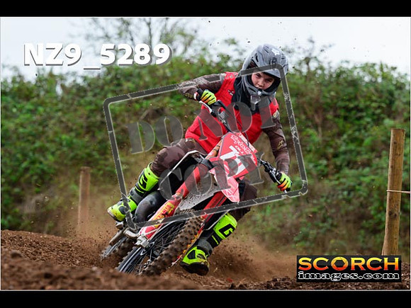 Experts-039