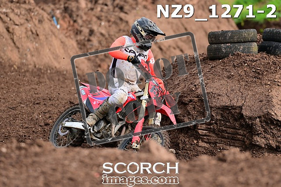 NZ9_1271-2