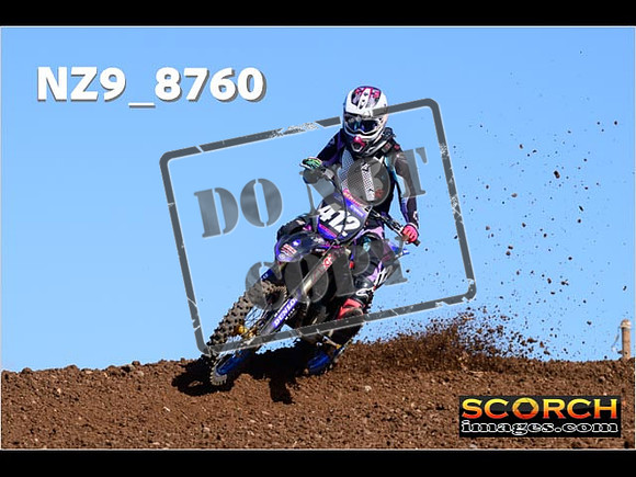 Experts-261