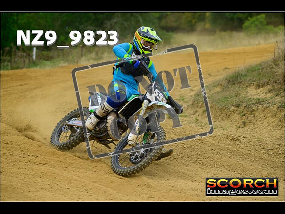 Experts-243