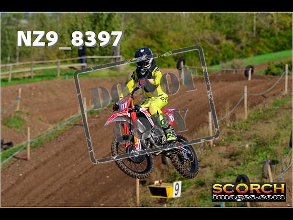 Experts-159