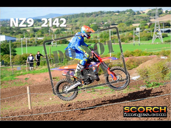 Experts-273