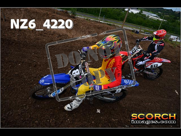 Orange Group-059