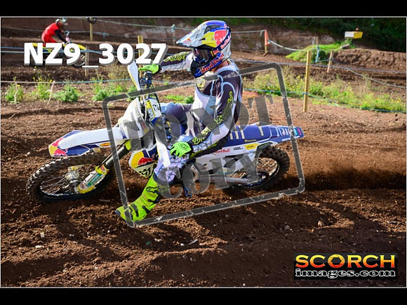 Experts-221