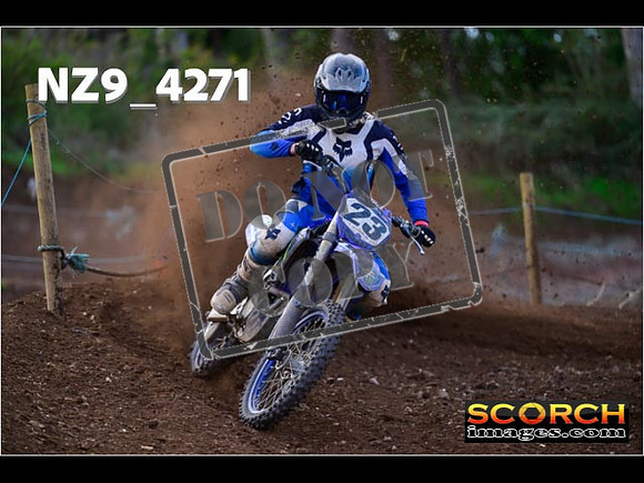 Experts-133
