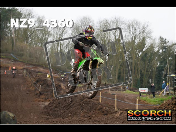 Experts-206