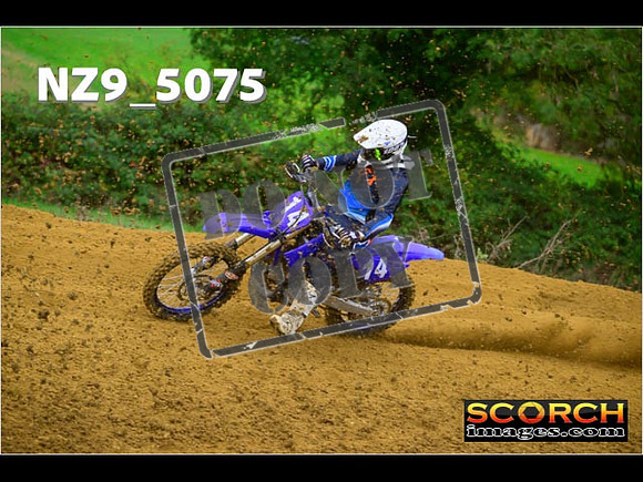 Experts-092