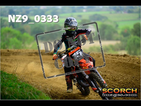 Experts-284