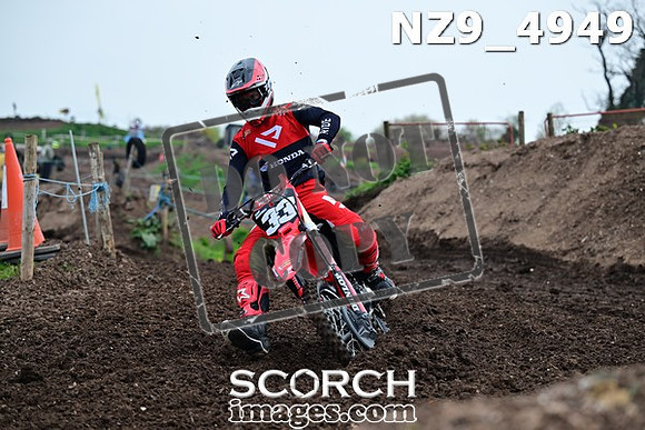 NZ9_4949