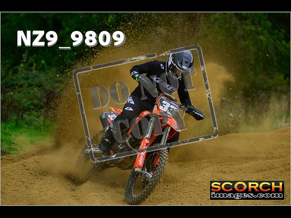 Experts-229