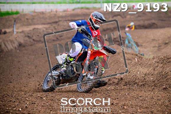 NZ9_9193