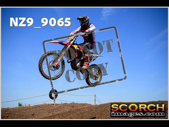 Experts-133