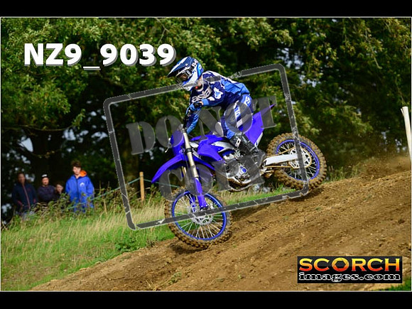 Experts-084