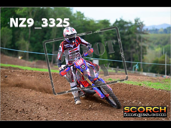 Experts-288