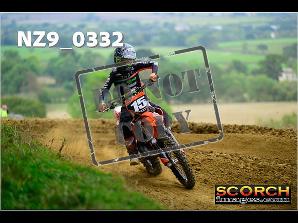 Experts-283