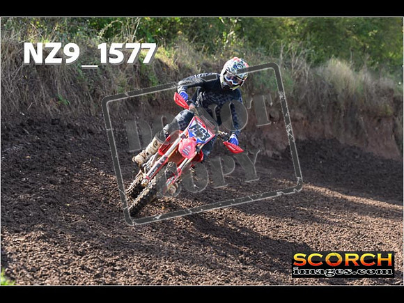 Experts-259
