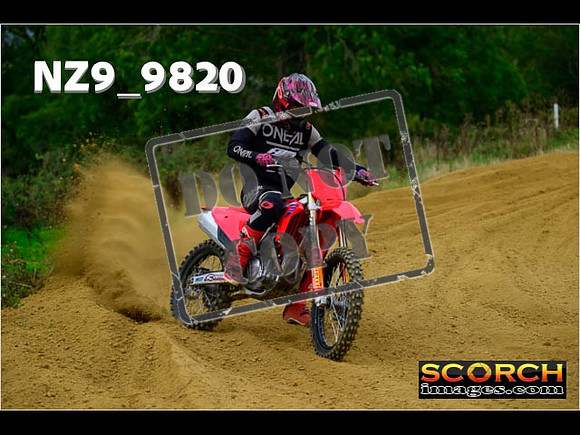 Experts-240