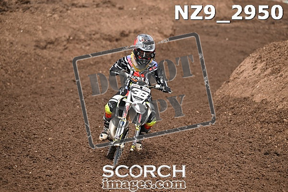 NZ9_2950