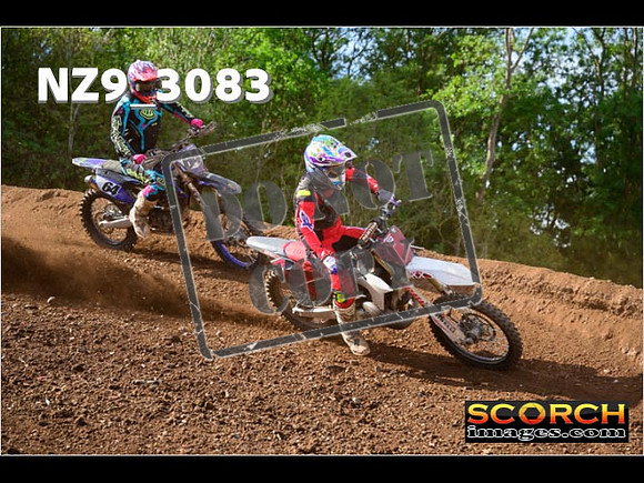 Experts-270